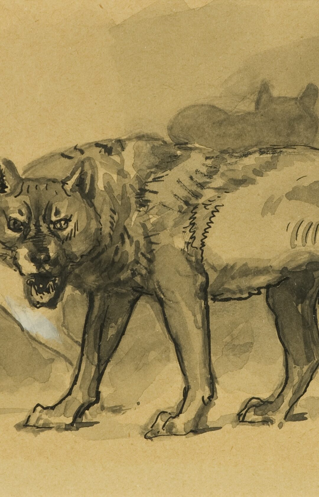 Lobo, Life and Death of a Gray Wolf