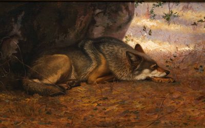 Sleeping Wolf in Paris Biography