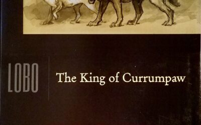Lobo The King of Currumpaw Exhibition