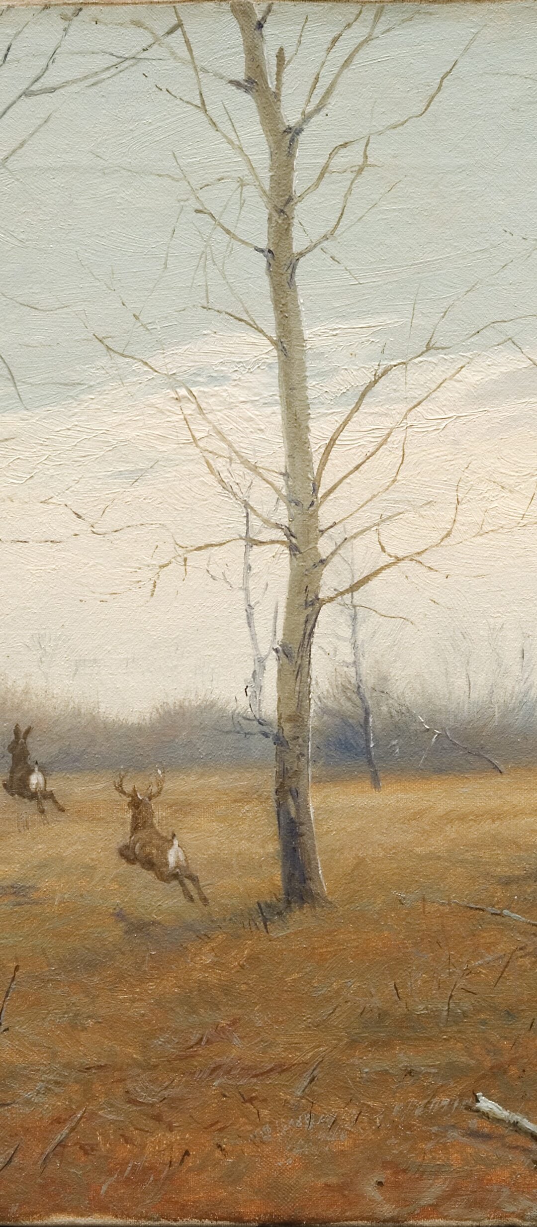 Landscape with White-tailed Deer by Ernest Thompson Seton