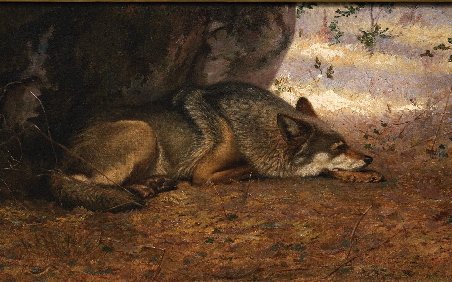 The Sleeping Wolf by Ernest Thompson Seton