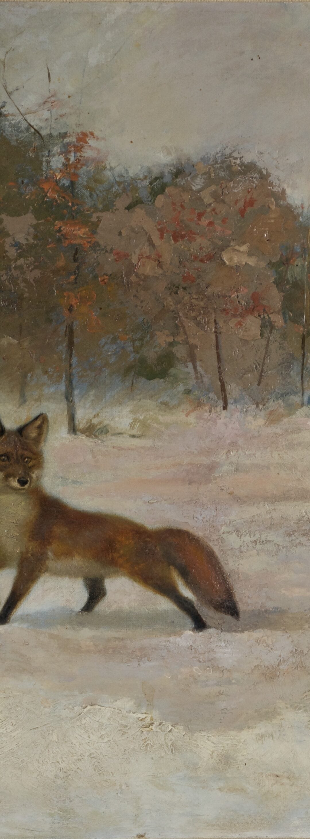 Fox and Mitten Painting by Ernest Thompson Seton