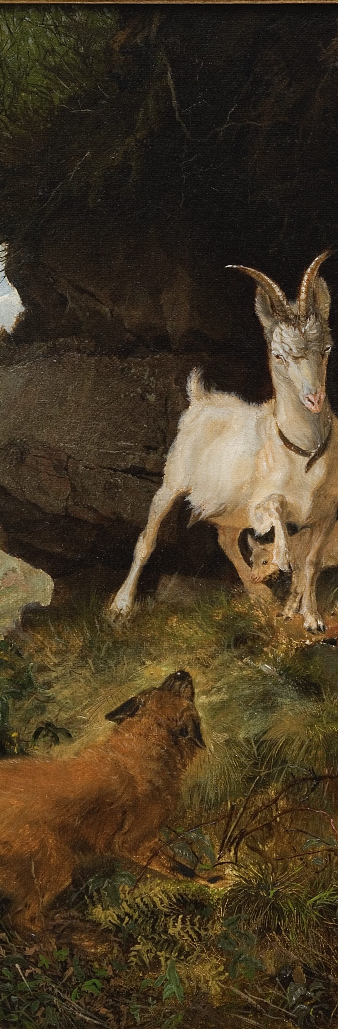 Fox and Goats painting by Ernest Thompson Seton