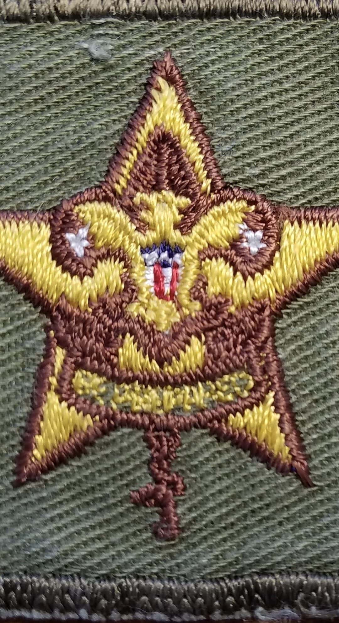 Actual True History of the Boy Scouts of America Part I Overview