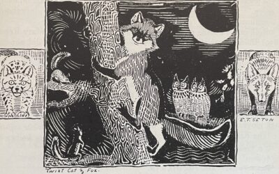 The Gray Fox by Ernest Thompson Seton