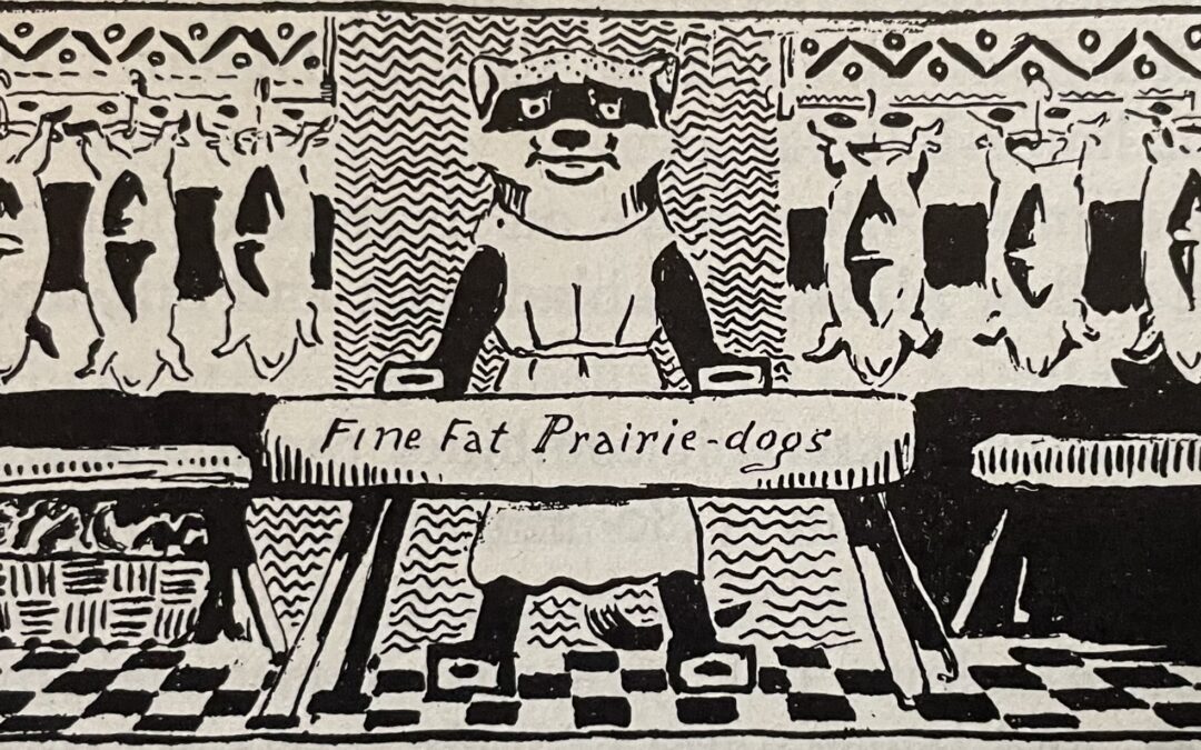 Seton’s bleak outlook for the Black-Footed Ferret