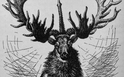 Seton Eulogy for The Wapiti