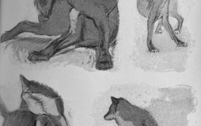 The Gray Wolf Part VI