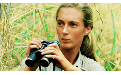 Jane Goodall