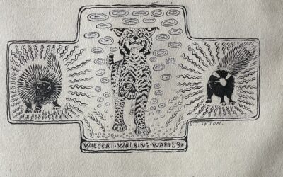 Wildcat by Ernest Thompson Seton