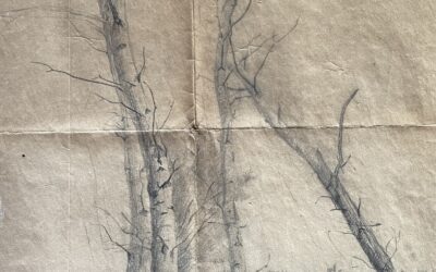 Seton’s Winter Trees